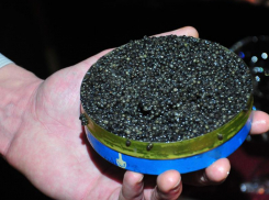 Продающий черную икру таганрожец лишился 500 тысяч