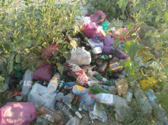 Таганрожцы продолжают гадить там, где отдыхают