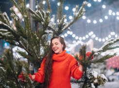 Как выбрать елку, которая простоит долго?