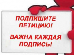Петицию Президенту и премьер-министру  с просьбой отремонтировать дороги подписывают таганрожцы