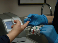 Бесплатно и в один день: в Таганроге будет работать «Пункт здоровья» - сдать анализы и посетить врача