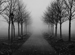 Последняя неделя осени удивит таганрожцев виражами погоды