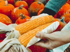 День Кондрата да Ипата: чем заняться таганрожцам 4 октября