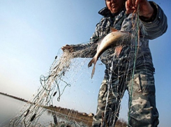 В Таганрогском заливе рыбаки причинили ущерб более 100 000 рублей