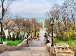 Мнение таганрожцев важно для оценки транспортной системы города