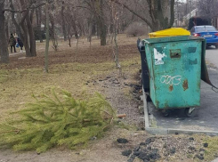 Таганрожцам грозит штраф за выброшенную не по правилам новогоднюю ёлку 