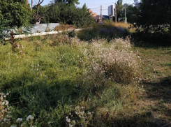 Днём с огнём не сыскать железную дорогу под травой в Таганроге