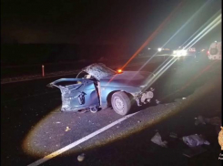 Жуткая гибель постигла молодых людей на ночной трассе под Таганрогом 