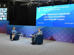 Новые горизонты поддержки: чем Донской парламент удивит семьи в 2024 году