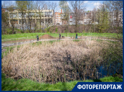 В Таганроге идёт реконструкция в роще Дубки