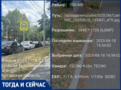 Покосили и бросили: имитация благоустройства в Таганроге?