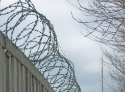 За зверское убийство двух собутыльников в Таганроге мужчина получил 16,5 лет строгого режима