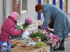 Жителей Таганрога призывают присоединиться к акции «помоги старушке»