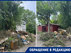 «Денег нет, но вы любуйтесь»: «Благоустройство» Таганрога полгода не может убрать стихийную свалку 