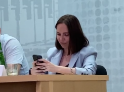 Бывшая глава таганрогского МУП «Благоустройство» Стелла Руф просит суд смягчить ей приговор