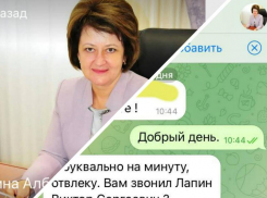 «Я глава, возьмите трубку», - мошенники придумали новый способ обмана в Ростовской области
