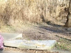 Гниющий заживо матрас и дикие вандалы: треш-зарисовки в предновогоднем Таганроге