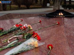 В Хабаровском крае нашли останки солдата родом из Таганрога 