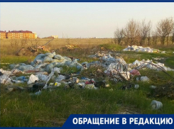 В Таганроге нормальной жизни птах мы мешаем своим мусором и безразличием