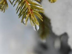 От Таганрога отступают морозы