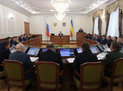 Донской губернатор призвал активнее подключать к охране общественного порядка дружинников и казачьи патрули