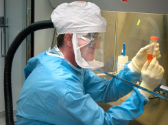 Как защититься от нового штамма коронавируса «Стратус» - совет таганрожцам от академика РАН