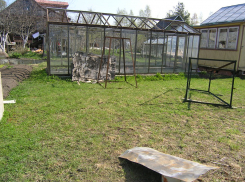 Разрешите поездки на дачи: с такой просьбой к властям области обратились дачники