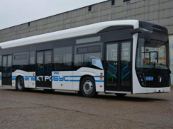 Смена перевозчика, новый путь электробуса и 10 свежих автобусов: как меняется транспорт Таганрога