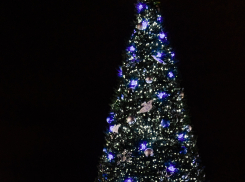 Новый год в Таганроге пройдет под крышей