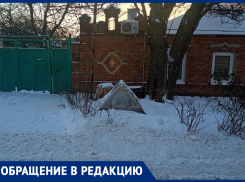 Одичавшие, но откормленные собаки пожирают заживо людей возле автошколы на Комсомольском в Таганроге