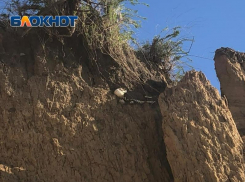 Скелет человека показался на побережье Таганрогского залива