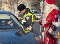  В Таганроге сказочные патрули вручают водителям мандарины и советы