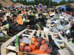 В Таганроге занялись решать мусорный вопрос