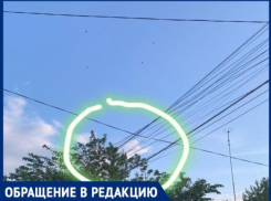Таганроженка жалуется на опасные провода над домом, но ей предлагают самостоятельно решать проблему