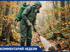 В МКУ «Благоустройство» Таганрога пообещали потравить крыс в Дубках