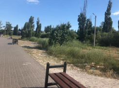 Губернатор поторопил таганрогских чиновников с реконструкцией набережной