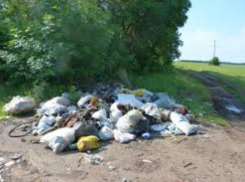 Таганрог вошел в тройку лидеров Ростовской области по чистоте