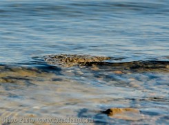 Прогноз погоды на рабочую неделю: в Таганрог на пару дней  заглянет весна 