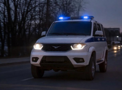 То ли бешенство, то ли беснование: дебошир из Таганрога укусил полицейского