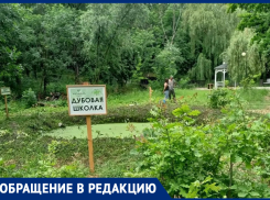 Замглавы Таганрога Долматов запретил…дубкам расти в “Дубках”