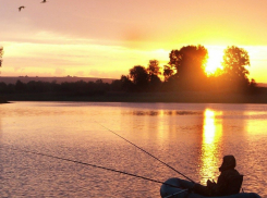 Таганрог назван в числе популярных мест для рыбалки 