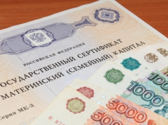 В Таганроге за год выплатили более 74 миллионов материнского капитала