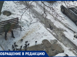 Таганрожцы падают как «коровы на льду» пока коммунальщики сыпят тонны реагентов