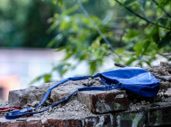 Сотрудники ППС Таганрога по горячим следам задержали подозреваемого в грабеже