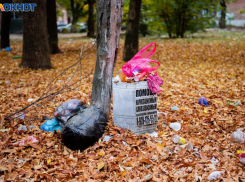 Волонтёры Таганрога на страже чистоты и порядка 