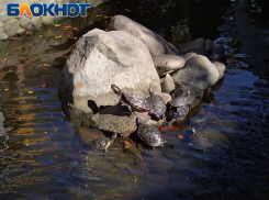 Таганрог: прогноз погоды на рабочую неделю с 25 по 29 сентября