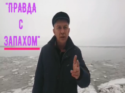 Депутат  Таганрога Игорь Третьяков хочет обследовать «Толстушку»