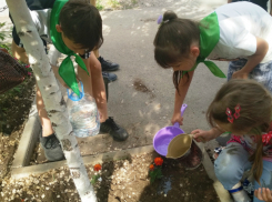 Дети Таганрога прияли участие в акции «Цветок памяти»