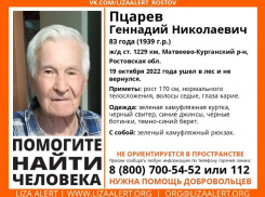 В Матвеево-Курганском районе 83-летний пенсионер ушёл в лес и не вернулся