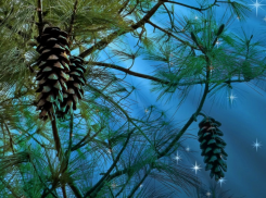 Не проспите прибыль: в Листодёр, 5 октября, стоит погулять под соснами - можно разбогатеть